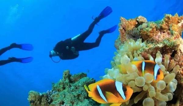 帶你領略馬爾代夫維塔維麗島卓美亞酒店